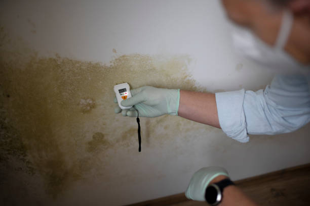 Best Post-Remediation Services in Waverly, VA